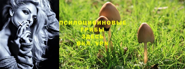 круглые Богданович