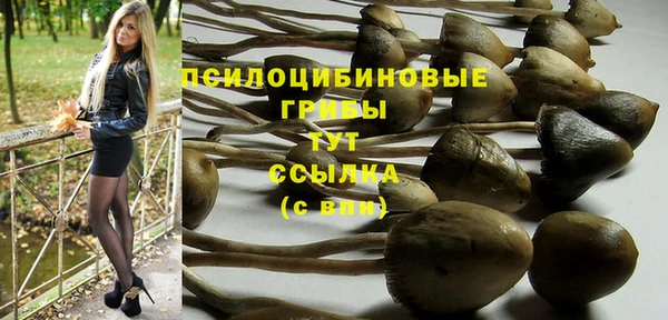 сатива Богородск