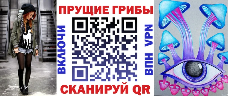 Купить  Нарткала  Галлюциногенные грибы GOLDEN TEACHER 